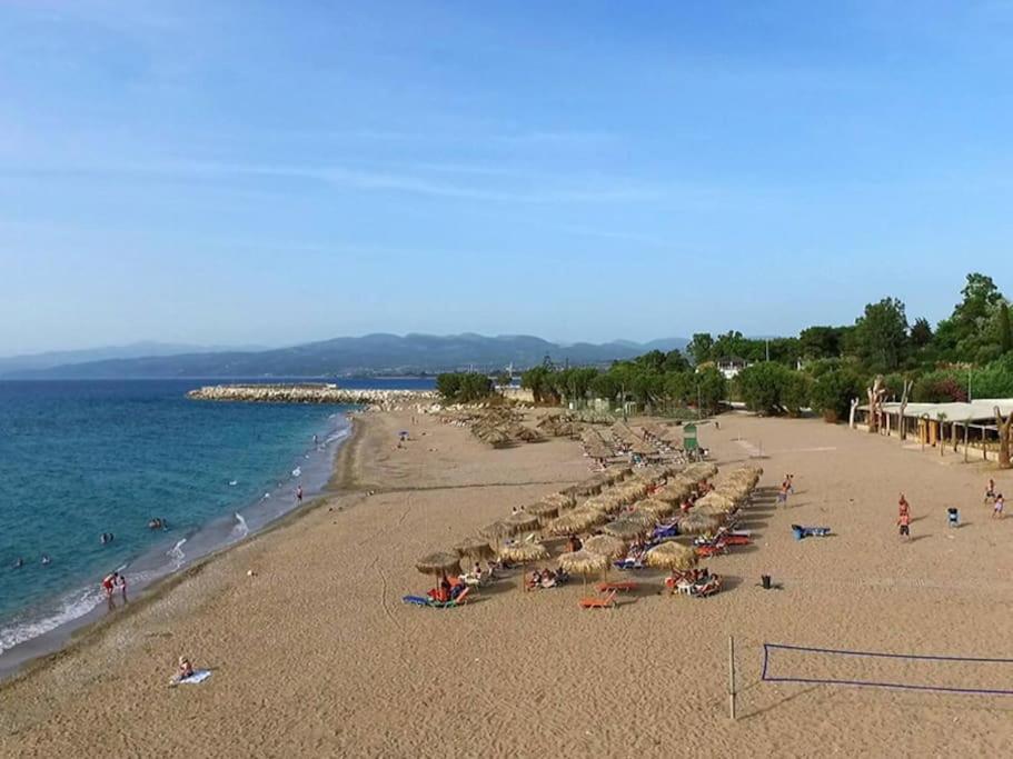 Στούντιο Σε Πέτρινο Σπίτι, Κοντά Σε Παραλία Kyparissia Exterior foto